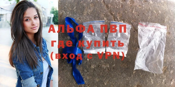 бошки Тайга