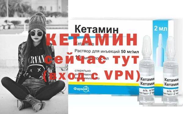 бошки Тайга
